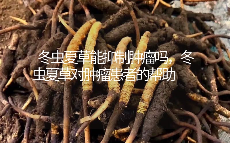 冬蟲夏草能抑制腫瘤嗎？冬蟲夏草對(duì)腫瘤患者的幫助