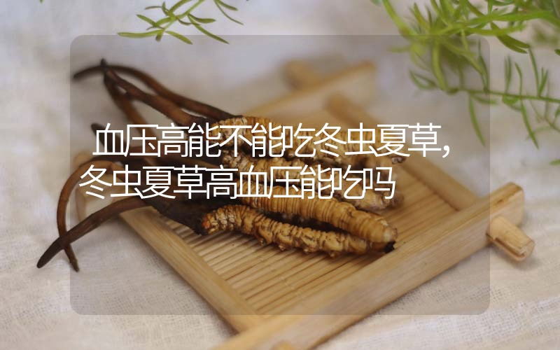血壓高能不能吃冬蟲夏草，冬蟲夏草高血壓能吃嗎？