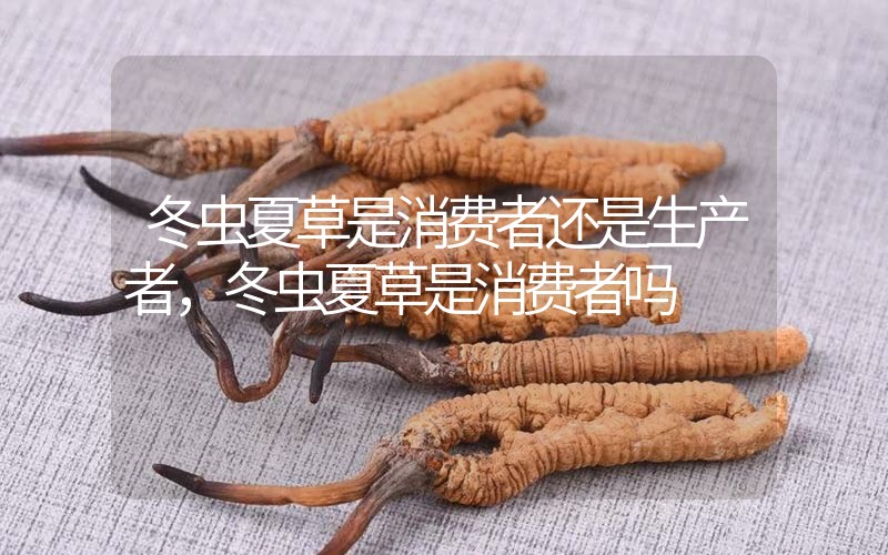 貧血吃冬蟲夏草有效果嗎，貧血虛弱者可以用冬蟲夏草嗎？