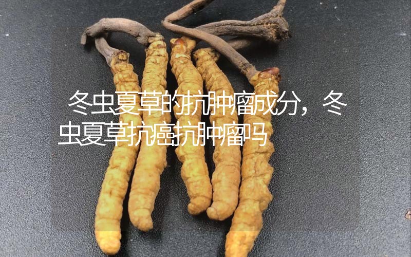 冬蟲(chóng)夏草的抗腫瘤成分，冬蟲(chóng)夏草抗癌抗腫瘤嗎？