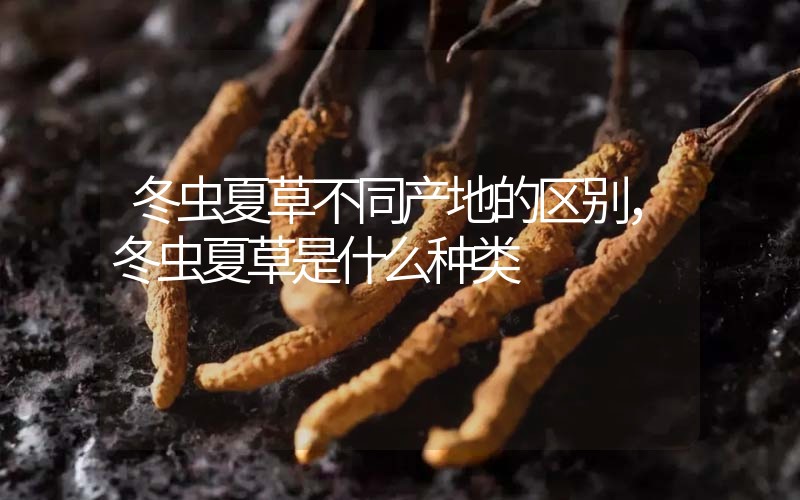 冬蟲夏草不同產(chǎn)地的區(qū)別，冬蟲夏草是什么種類