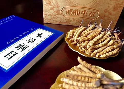冬蟲夏草真就那么好嗎？它的主要功能是什么呀