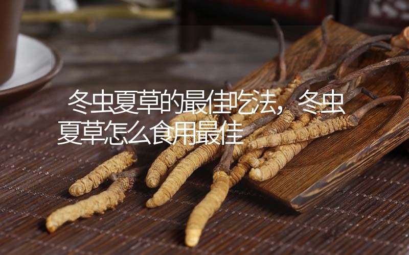 冬蟲夏草的最佳吃法，冬蟲夏草怎么食用最佳