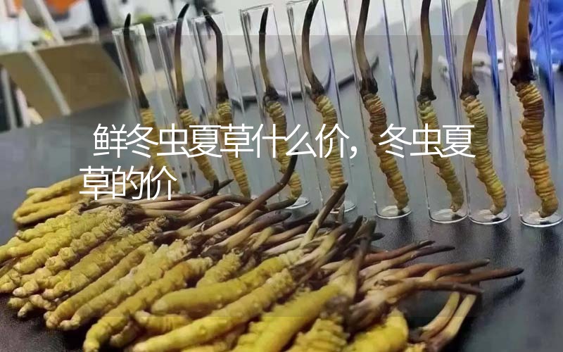 鮮冬蟲(chóng)夏草什么價(jià)，冬蟲(chóng)夏草的價(jià)格