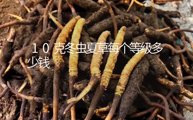 10克冬蟲夏草每個(gè)等級(jí)多少錢？