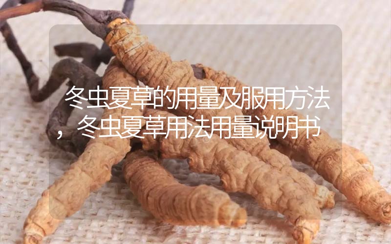 冬蟲夏草的用量及服用方法，冬蟲夏草用法用量