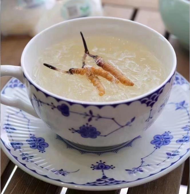 養(yǎng)生小竅門：冬蟲夏草燉什么好喝？