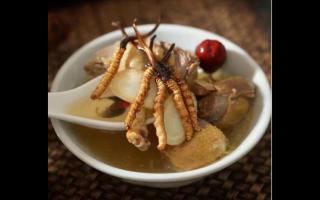 冬蟲(chóng)夏草為什么賣(mài)的貴？原因是什么？
