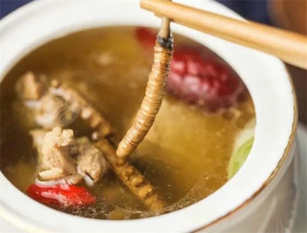 少女能吃冬蟲(chóng)夏草嗎？女人吃冬蟲(chóng)夏草的好處
