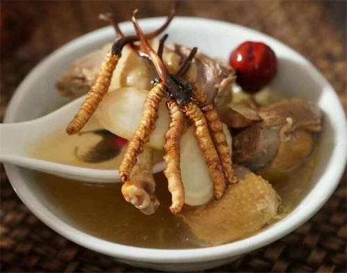 冬蟲(chóng)夏草可以燉海鯽魚(yú)嗎？