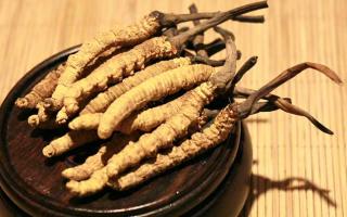 冬蟲夏草的價(jià)格一克：為何如此昂貴？