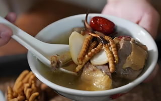 冬蟲夏草搭配有道，滋養(yǎng)肺部效果妙