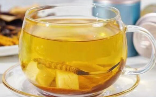 新鮮冬蟲(chóng)夏草能泡茶嗎？一文讀懂養(yǎng)生新方式
