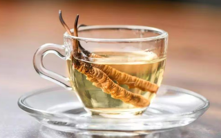一杯蟲(chóng)草水，健康新滋味：冬蟲(chóng)夏草泡水喝的奇妙功效