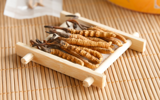 冬蟲夏草一般多少錢一斤？?jī)r(jià)格背后的價(jià)值解析