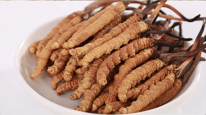 冬蟲夏草燉水鴨，搭配這些食材更滋補(bǔ)