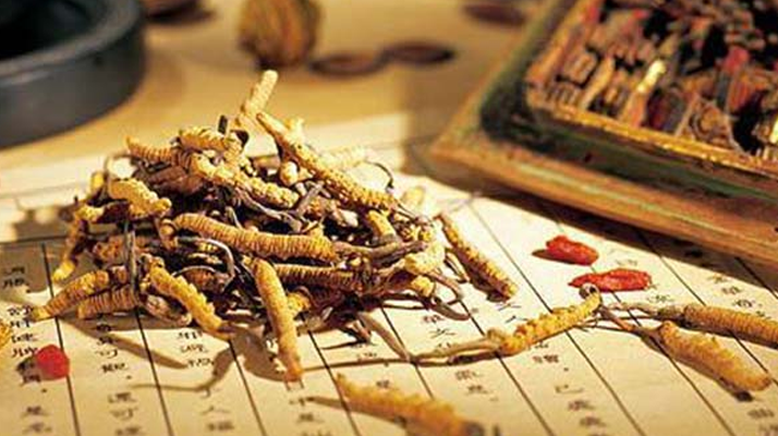 老人可以喝冬蟲夏草湯嗎？科學分析與飲用指南