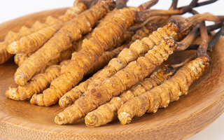 冬蟲(chóng)夏草，真有那么大效果？
