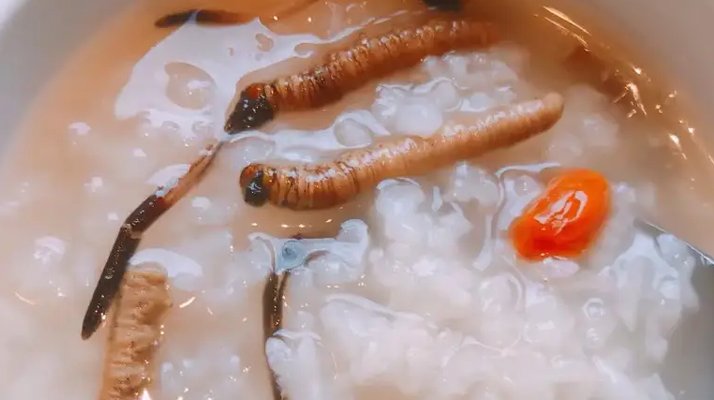 冬蟲夏草適合哪些人群？精準(zhǔn)匹配與禁忌提醒